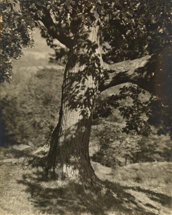 GEORGE H. SEELEY (1880-1955) Group of 11 Pictorialist photographs.